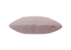 blassrosa