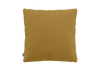 goldbraun