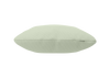 blassgruen