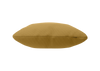 goldbraun