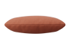koralle