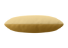 blassgelb-curry