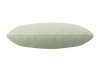 blassgruen