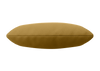 goldbraun